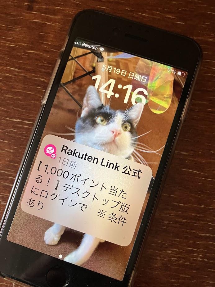 楽天モバイルを使ってるiPhone SE2